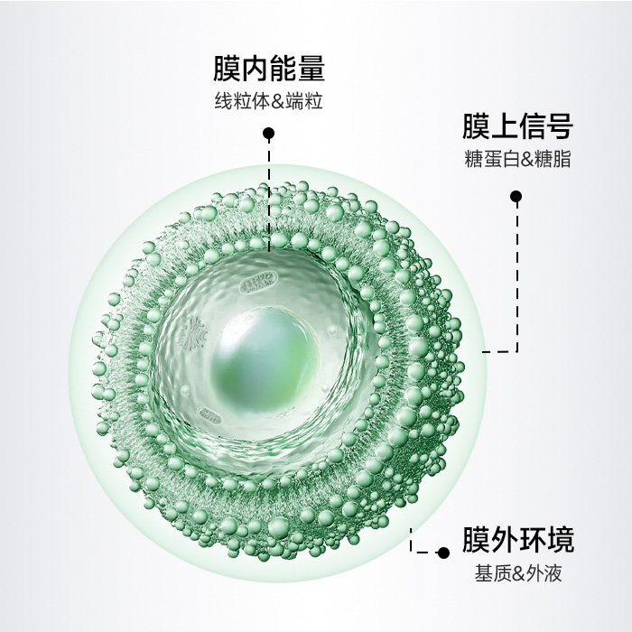  为什么你的&ldquo;口服抗衰&rdquo;看不到结果？