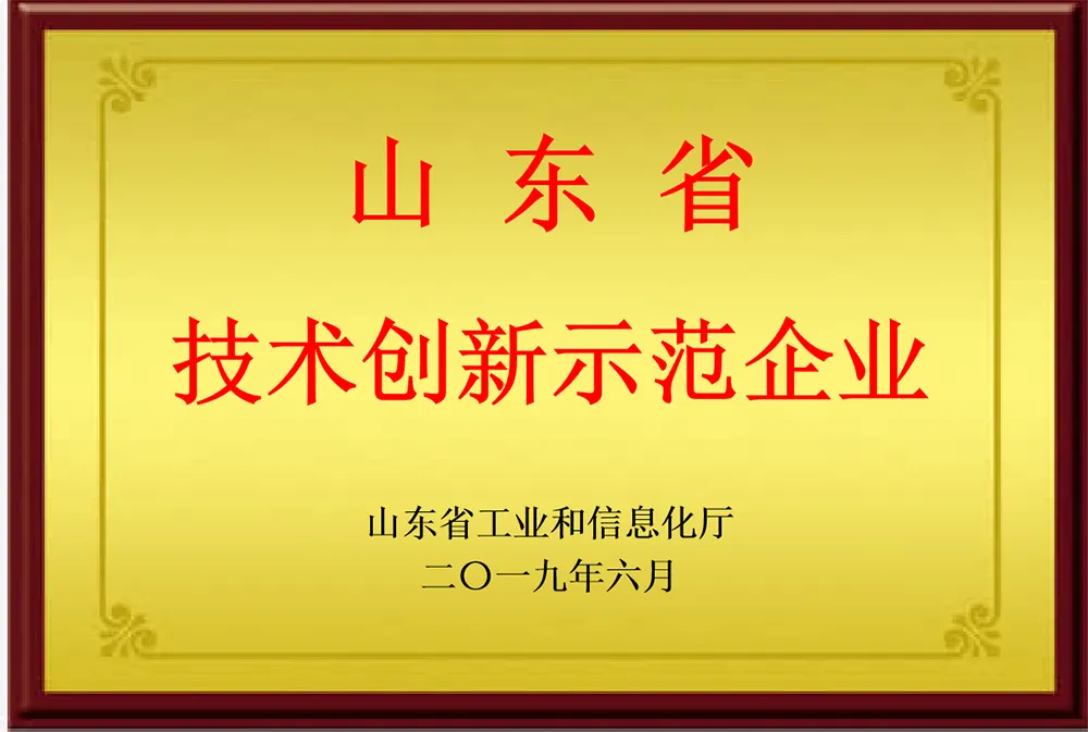 山东省技术创新示范企业